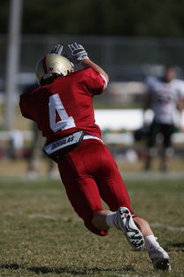 爱游戏平台-中超球队重点对手研究频率分布，中超球队实力分析